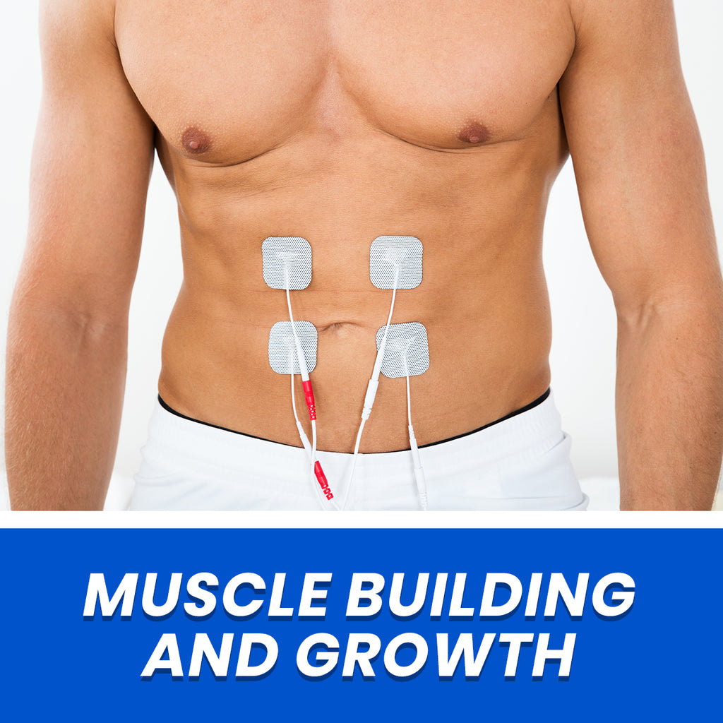 Muscle Building Growth