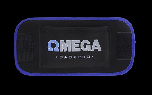 Include the Conductive Back Brace Garment for TENS/EMS for effective relief.