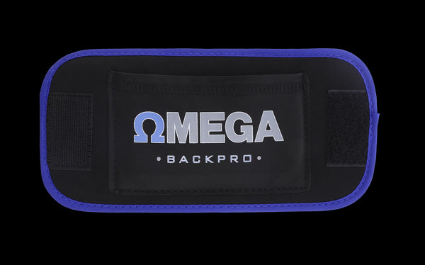 Include the Conductive Back Brace Garment for TENS/EMS for effective relief.