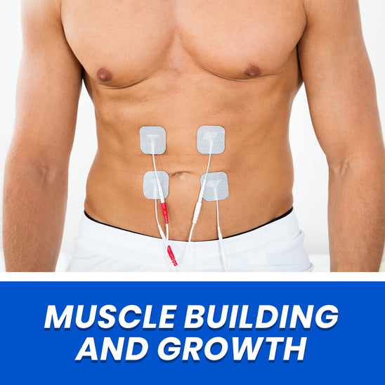 Muscle Building & Growth